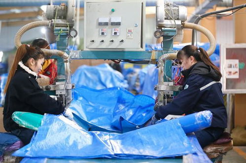 外眼看山東 央媒一周圖片擷英丨村里辦食堂 老人喜洋洋