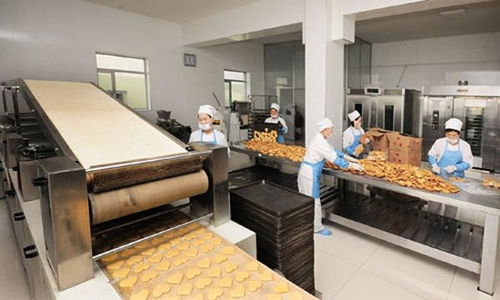 東北亞小鋪掌柜獨家爆料最新朝鮮社會動態(tài)掠影,令人精神振奮